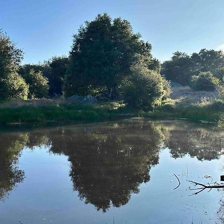 Vila Julian Orchard Ranch Santa Ysabel Exteriér fotografie