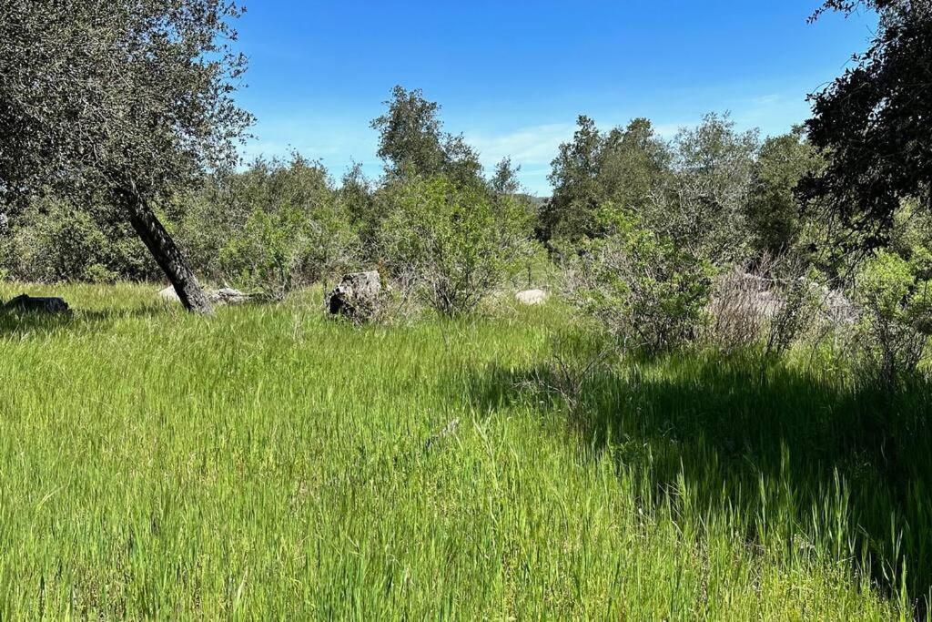 Vila Julian Orchard Ranch Santa Ysabel Exteriér fotografie